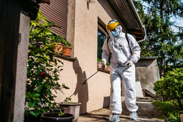 Best Rodent Control Near Me  in Las Palmas Ii, TX