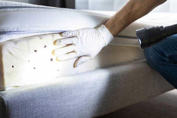 Best Wildlife Control Services  in Las Palmas Ii, TX
